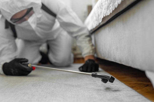Professional Termite Control technician working in Allegany County County, NY